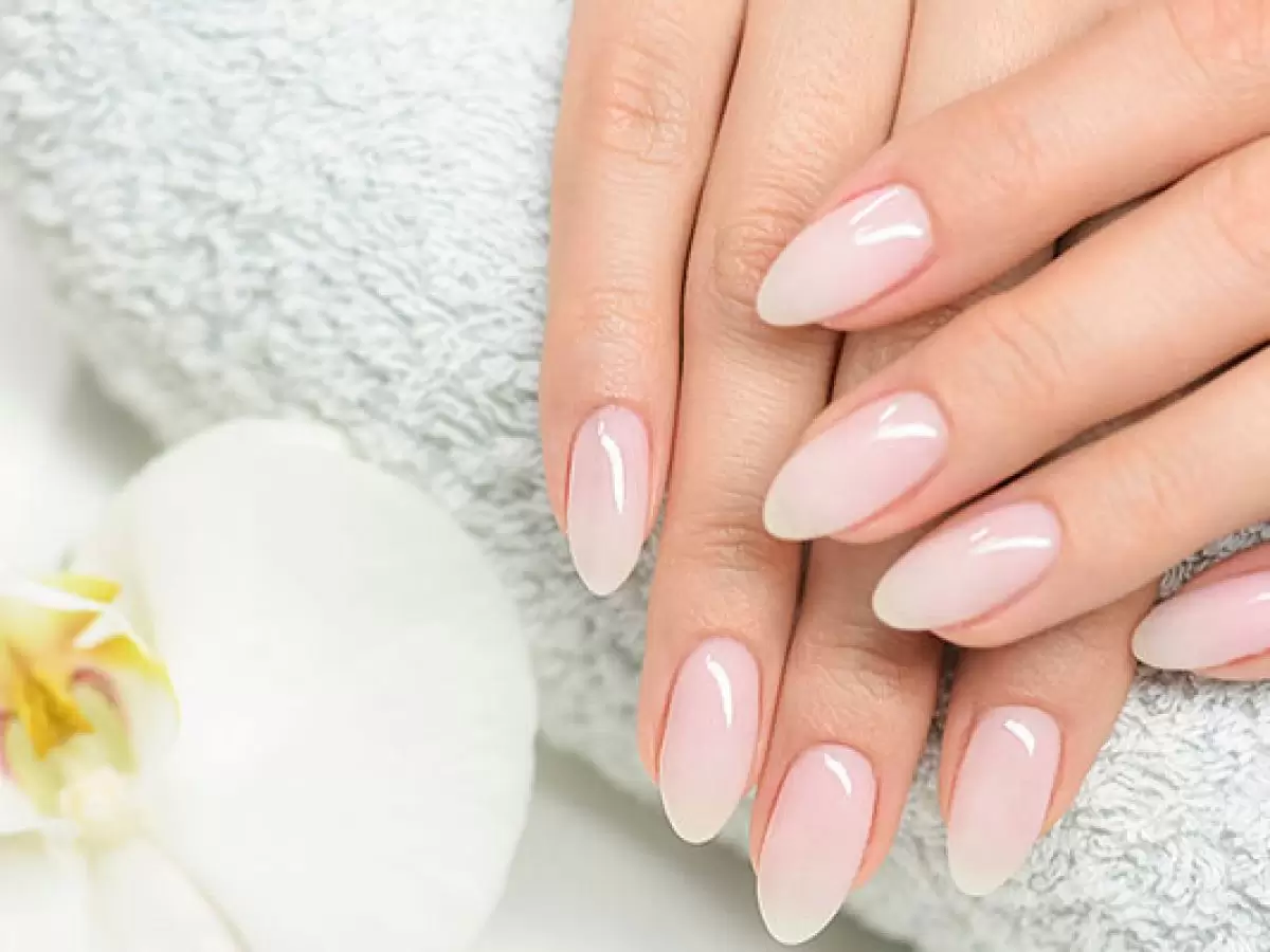 Pazaryolu Protez Tırnak